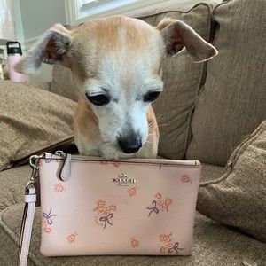 Coach floral wristlet